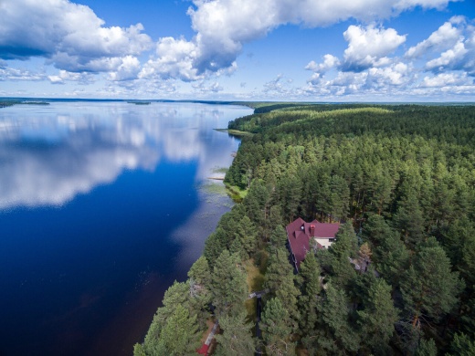 Cosmos Karelia