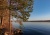 Cosmos Karelia
