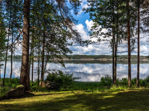 Cosmos Karelia