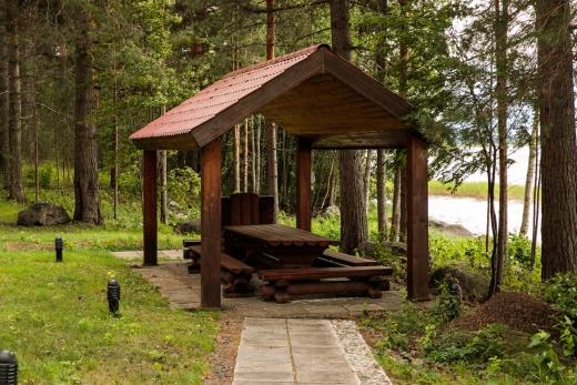 Cosmos Karelia