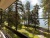 Cosmos Karelia