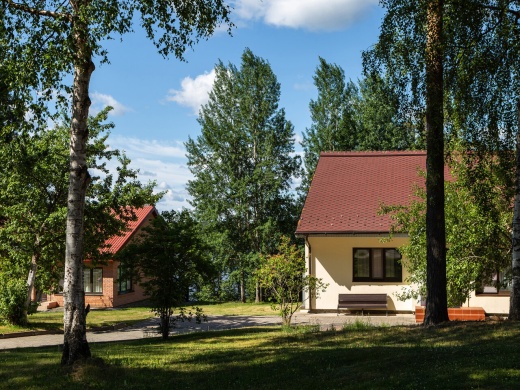 Cosmos Karelia