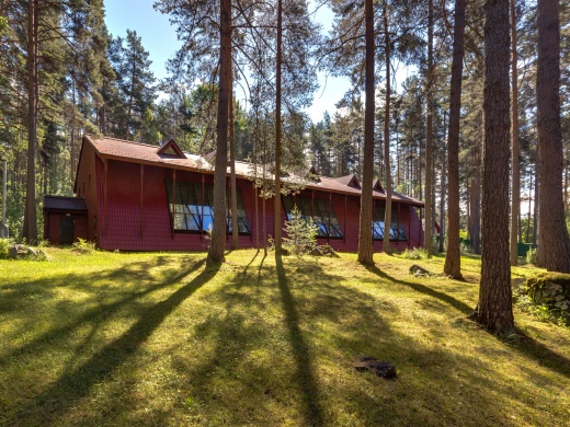 Cosmos Karelia