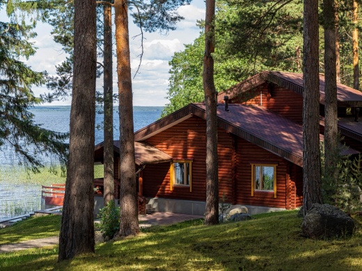 Cosmos Karelia